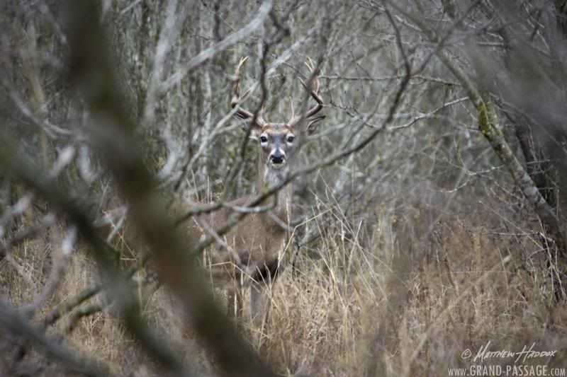 IMAGE: http://i25.photobucket.com/albums/c51/TxDox21/IMG_5326_zps2c9e970d.jpg