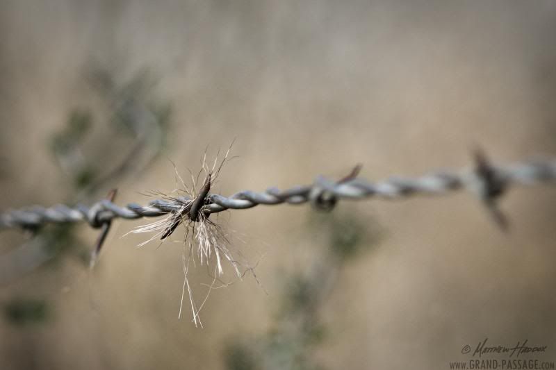 IMAGE: http://i25.photobucket.com/albums/c51/TxDox21/IMG_5354_zps2fcdd3b3.jpg