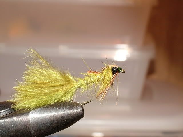 MINK004.jpg