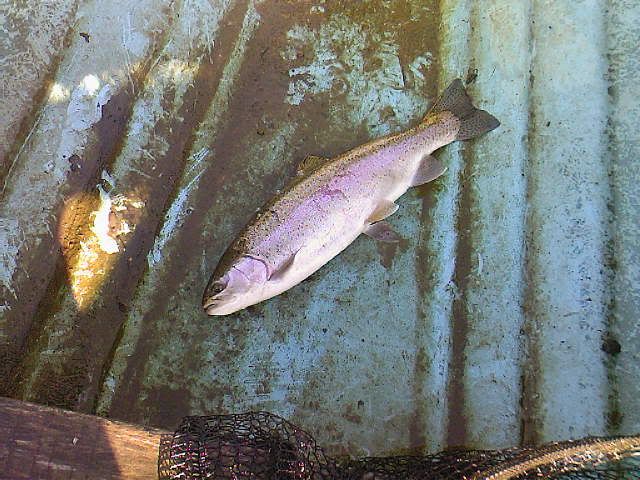 Photo-0001.jpg