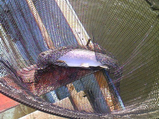 Photo-0004.jpg
