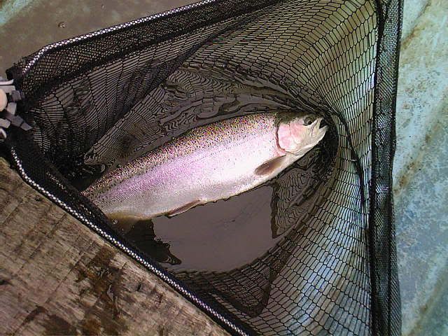 Photo-0009.jpg