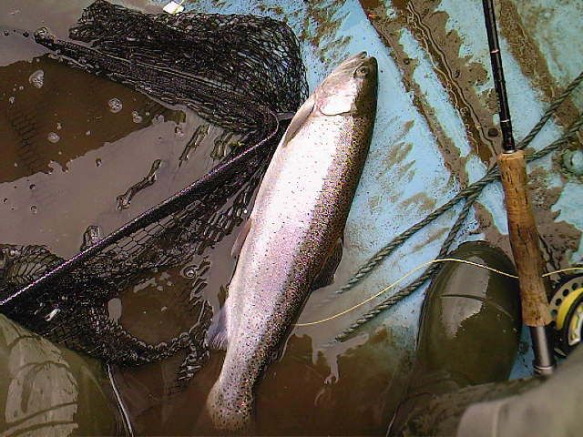 Photo-0011.jpg