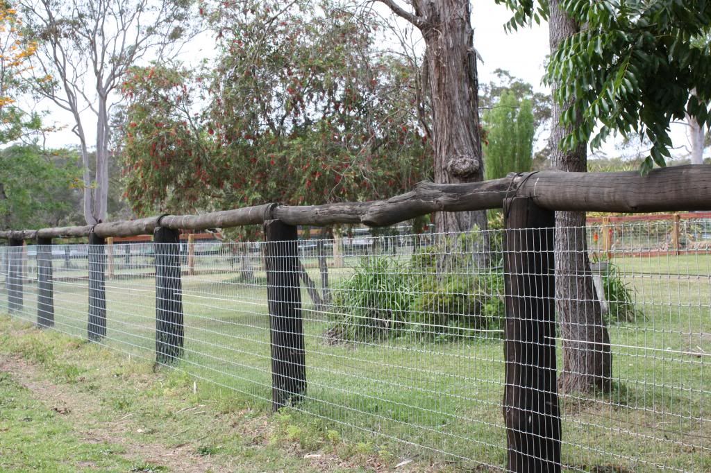 ... you go - this fence is the boundary between our house yard and paddock
