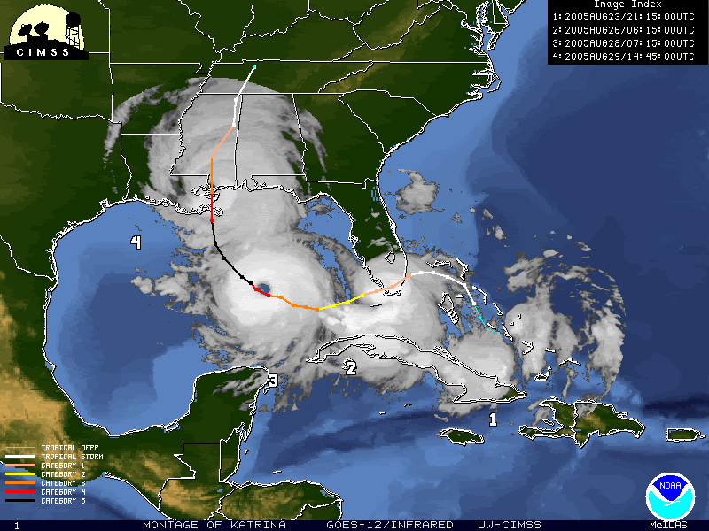 The devistating hurricane that changed our lives Pictures, Images and Photos