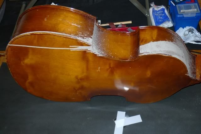 Bild