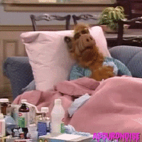photo 200_zpsb41bg9oj.gif