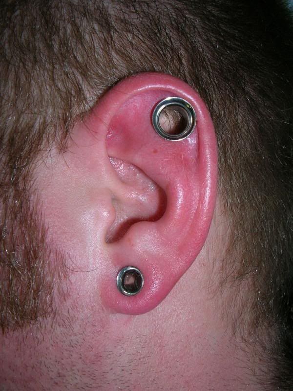 spiral industrial piercing. New Industrial Piercing (1