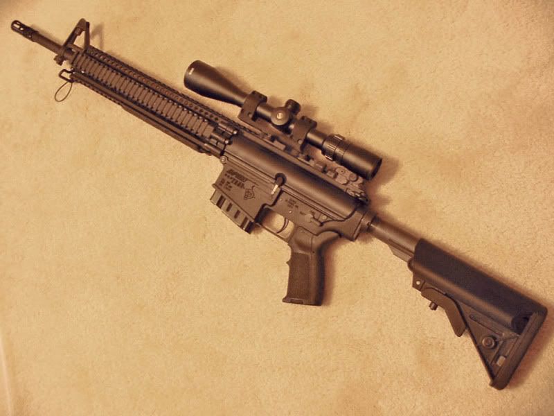 DPMS308withLMTextendedout.jpg