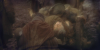 apathetic