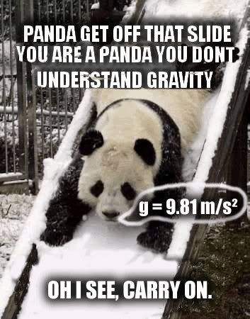 pandagravity.jpg