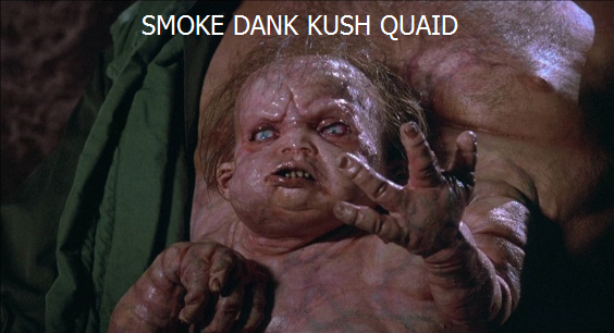 KushQuaid.png