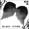 Image hosting by Photobucket