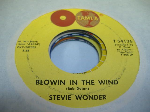 Blowin In The Wind - STEVIE WONDER