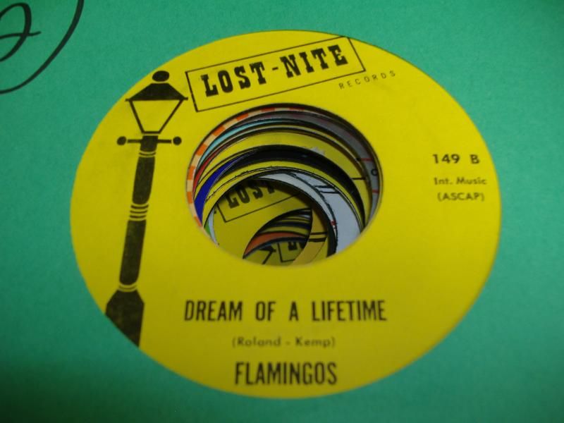 Dream Of A Lifetime - FLAMINGOS