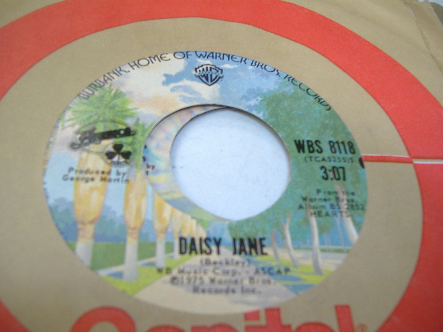 AMERICA - Daisy Jane (tomorrow)