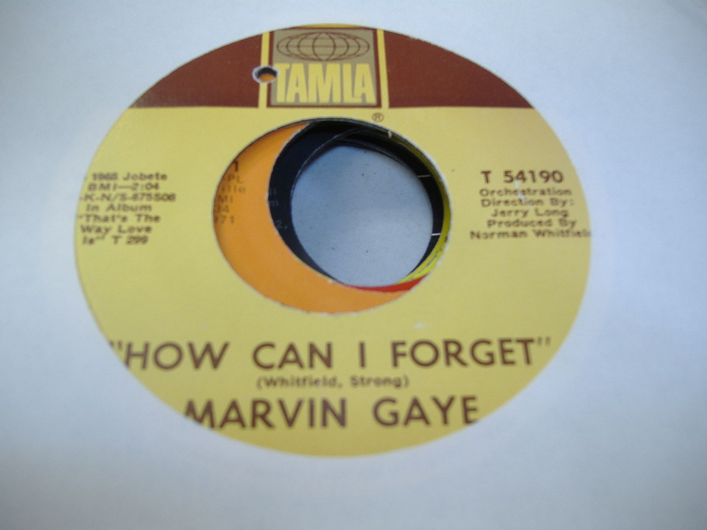 MARVIN GAYE - How Can I Forget (gonna Give Her All The Love I've Got)
