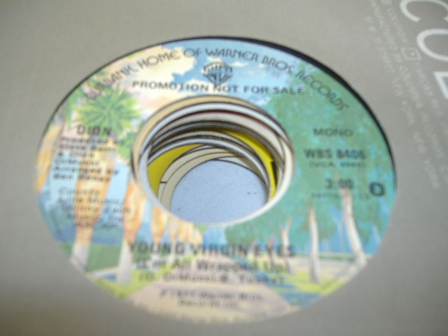 DION - Young Virgin Eyes (i'm All Wrapped Up) (same)