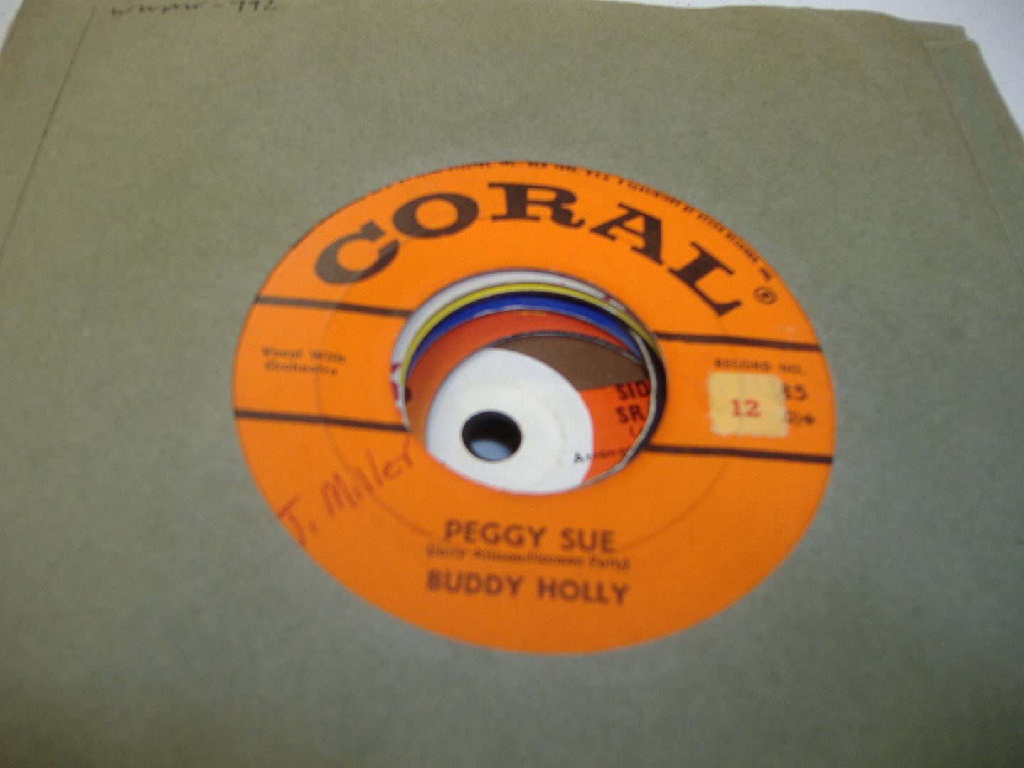 BUDDY HOLLY - Peggy Sue (everyday)