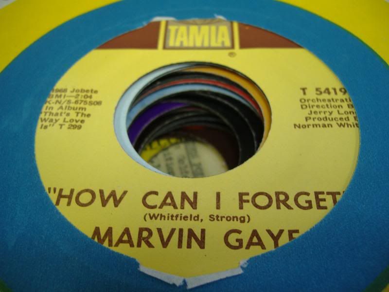 How Can I Forget (gonna Give Her All The Love I've Got) - MARVIN GAYE