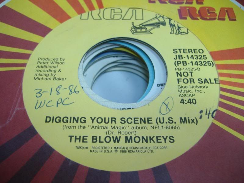 BLOW MONKEYS - Digging Your Scene (same)