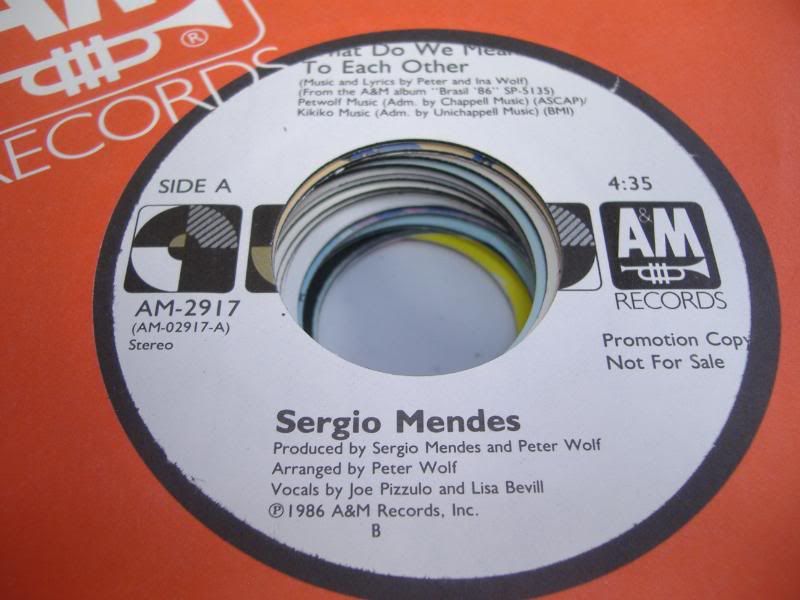SERGIO MENDES - What Do We Mean To Each Other (same)