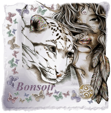 http://i25.photobucket.com/albums/c57/rado1234/goodnight/bonsoir.gif