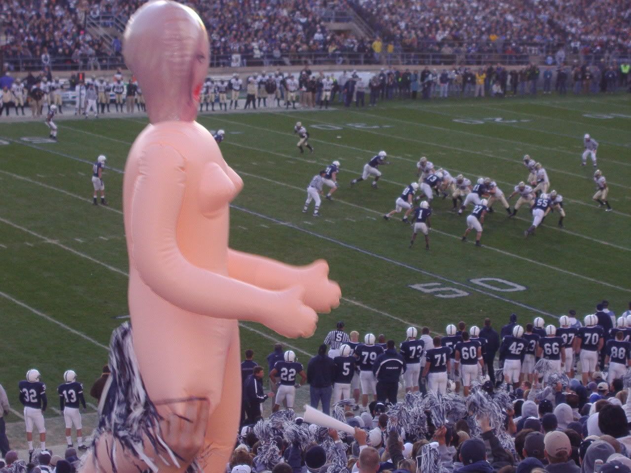 PA290238.jpg
