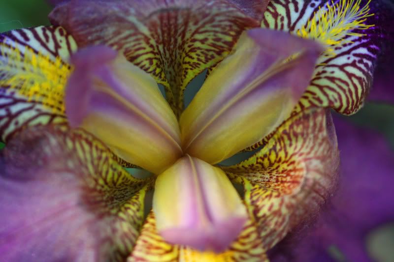 IMAGE: http://i25.photobucket.com/albums/c58/dbl120902/Canon%20pics/012.jpg