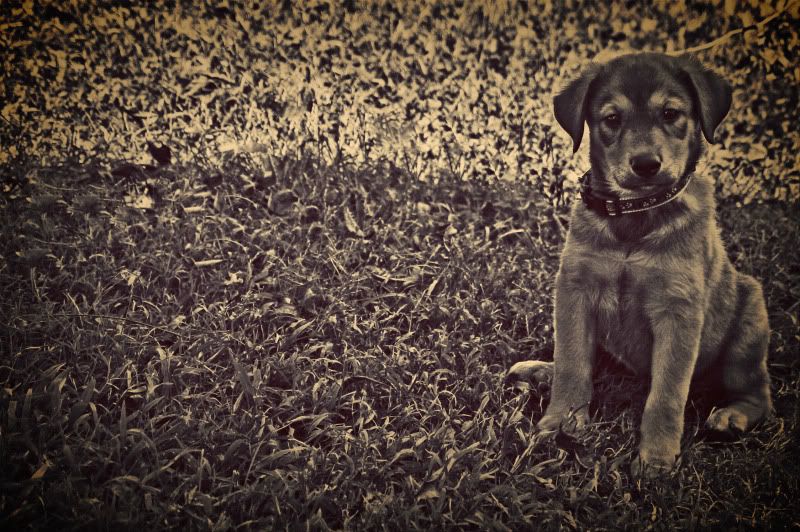 IMAGE: http://i25.photobucket.com/albums/c58/dbl120902/Canon%20pics/Outsidefrank045.jpg