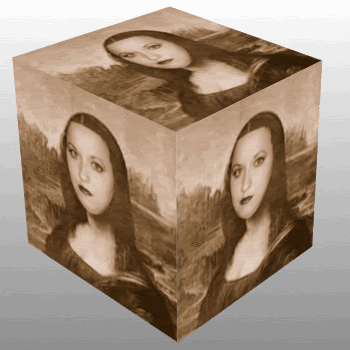Anicka cube