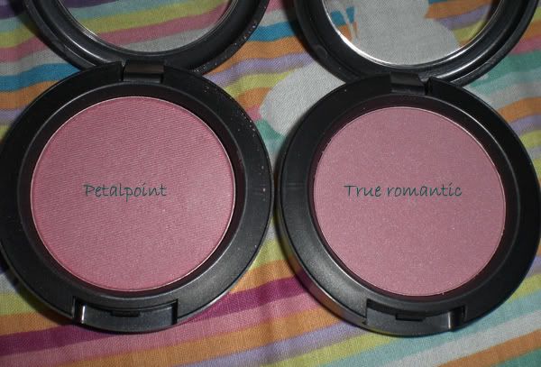 petalpointrueromantic2.jpg