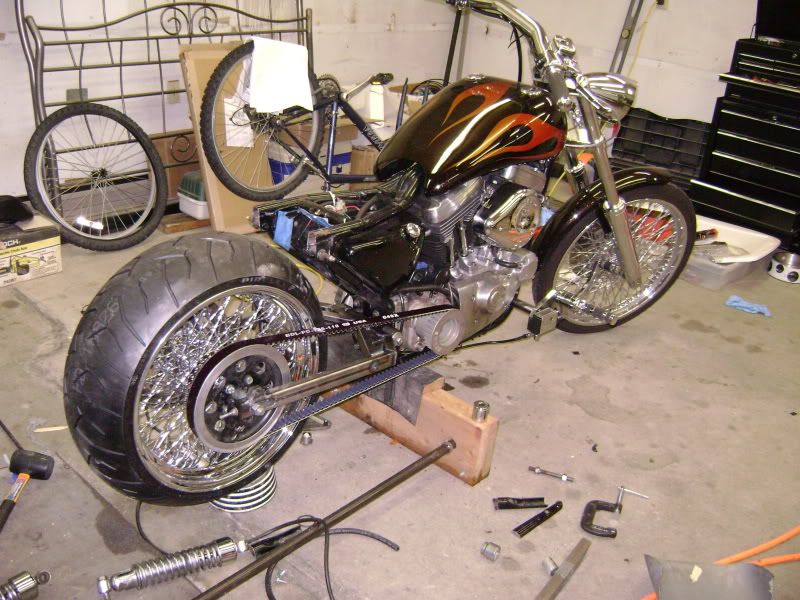 sportster 240 rear tire