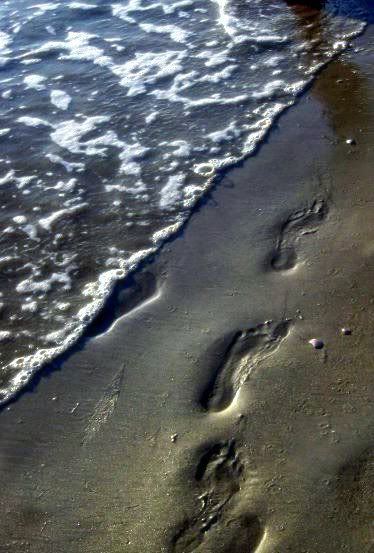 footprints.jpg Beach footprints image by _lovesuicide-