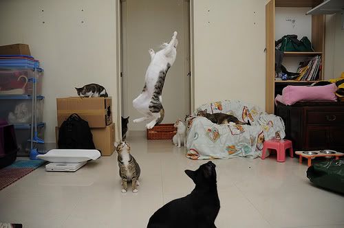圖檔