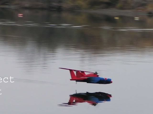 Aircatflight1.jpg