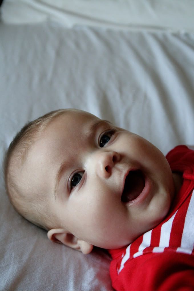 IMAGE: http://i25.photobucket.com/albums/c64/Kilts_are_awesome/harp1-1.jpg