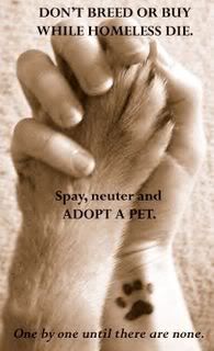 Spay and neuter