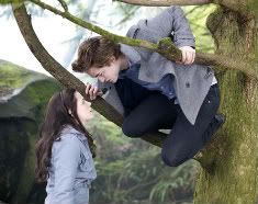 twilight movie Pictures, Images and Photos