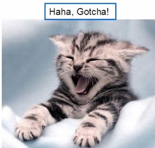 Gotcha.jpg