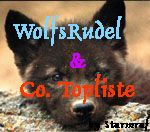 Top 100 Wolfsrudel & Co.