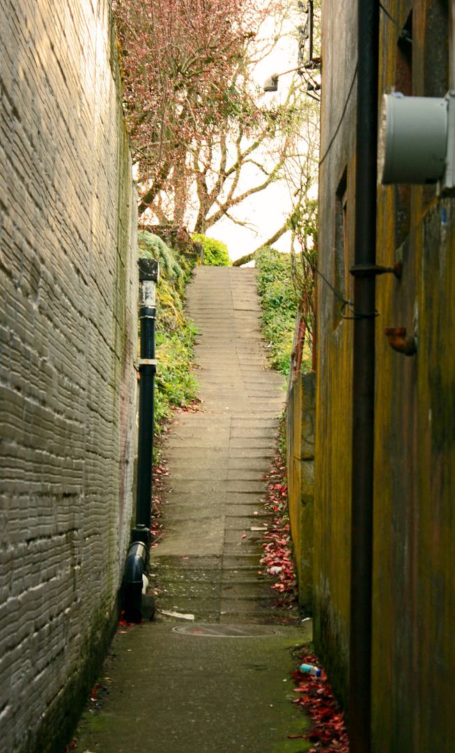 Twilight Alley Way Pictures, Images and Photos
