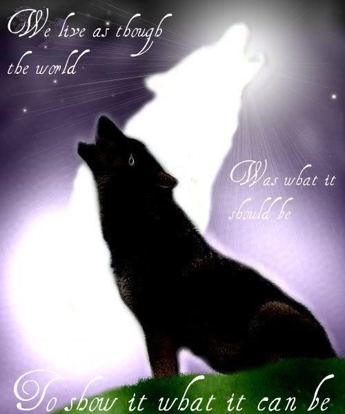 purplepicnikwolf.jpg picture by tangilass