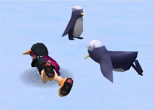 penguins belly sliding