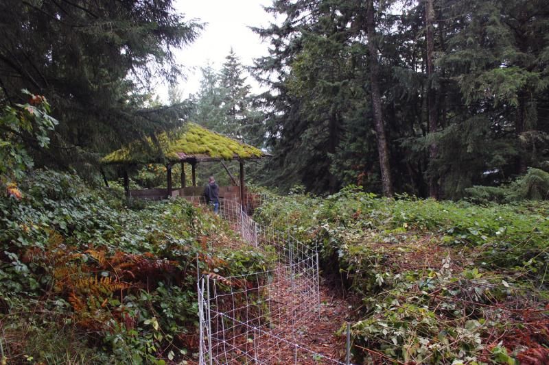 What did everyone do today? - Homesteading Questions