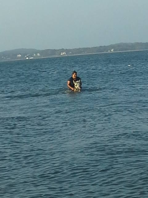  photo swim3.jpg