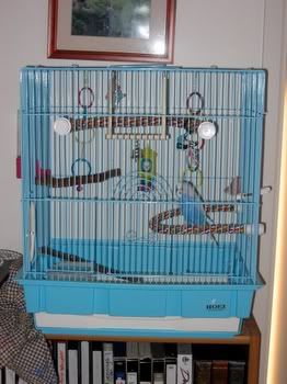 CageandEggs003-1.jpg