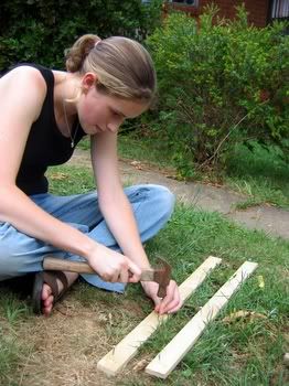 aviaryconstruction004.jpg