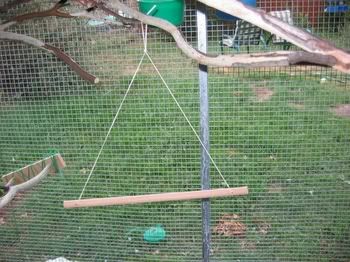 aviaryconstruction012.jpg