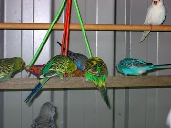 babiesdayout004.jpg